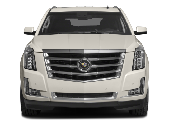 2015 Cadillac Escalade Luxury photo 3